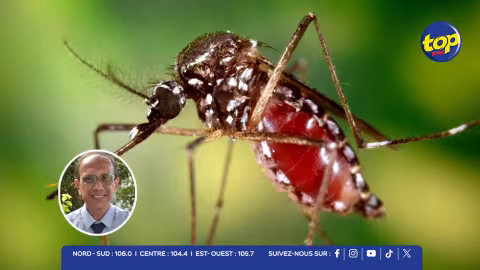Chikungunya