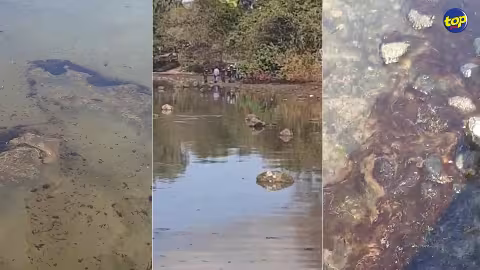 Un kawar prend feu et fait deux morts et plusieurs blessés :« Kan nu pé faire nu Chaar Pahar ki Pooja nu garde ene minute silence pu nu bane frères ek fami ki endeuillé », annonce Bhojraj Ghoorbin