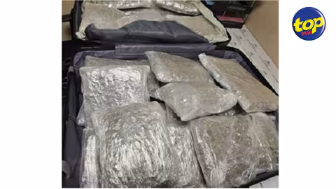 Au port : Saisie de 25 kg de cannabis… la drogue était destinée, sur papier, à une maison de retraite à Port-Louis