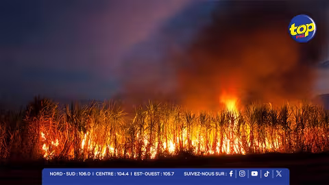 Incendies dans les champs de canne à sucre : un fléau estival qui perdure à Maurice avec 255 cas recensés en octobre