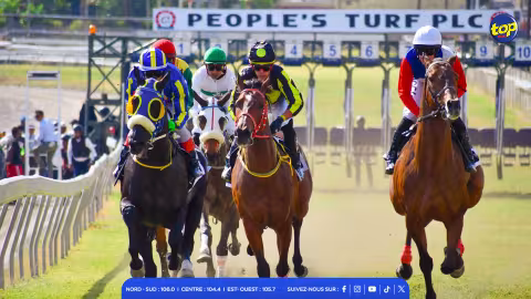 Hippisme