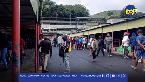 HIPPISME