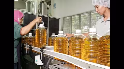 Indonésie : Pénurie d’huile de palme chez le plus grand producteur du monde