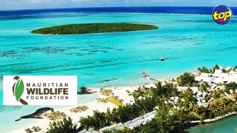 Fuite d’huile du Wakashio : impact sur la réserve naturelle à l’île aux Aigrettes prédit la Mauritian Wildlife Foundation.