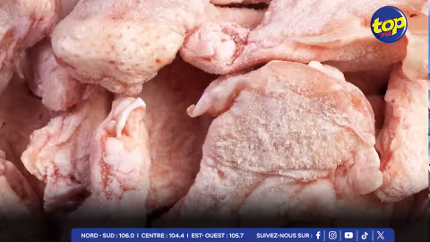 Importation de poulet surgelé :