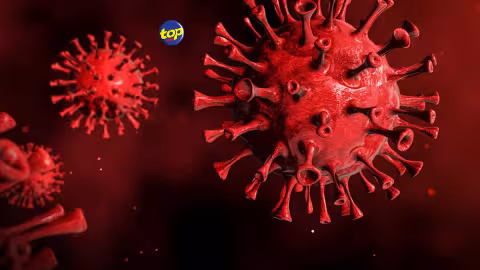 Khosta – 2, nouveau type coronavirus découvert chez les chauves-souris : ‘‘A ce stade, ils n’ont pas encore été testés ou prouvés nocifs chez l’homme, pas de panique !,’’ avise Shameem Jaumdally