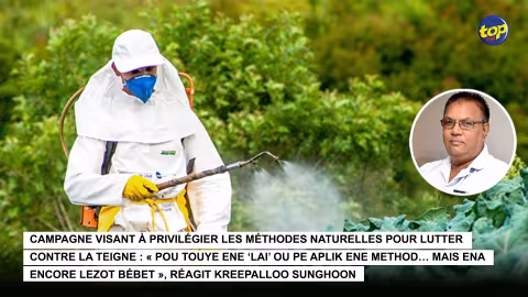 Campagne visant à privilégier les méthodes naturelles pour lutter contre la teigne : « Pou touye ene ‘lai’ ou pe aplik ene method… mais ena encore lezot bébet », réagit Kreepalloo Sunghoon 