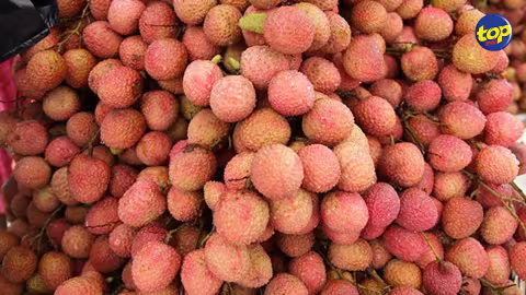 Vol de litchis à Lallmatie : Le butin estimé à Rs 405 000