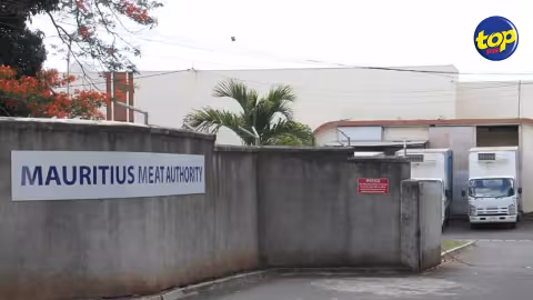 Post fièvre aphteuse à Rodrigues : Seule la Mauritius Meat Authority autorisée à importer du bétail de l’île