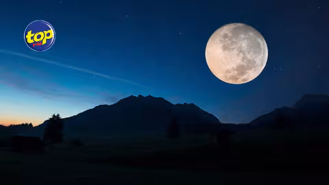 MOON