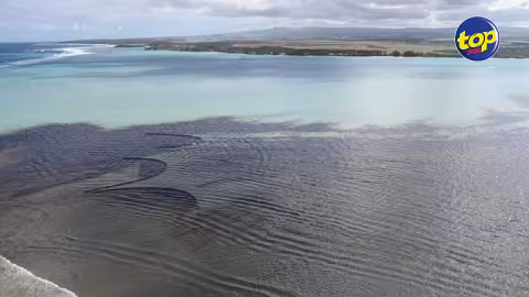 Marée noire dans le Sud-est : les 1200 livres sterling récoltées par un Mauricien établi en Grande-Bretagne remises à l’association Planète Enfants Vulnérable