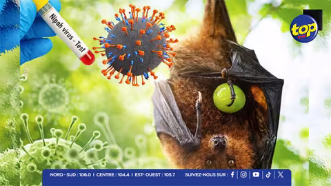 Nipah Virus : « Il y a une psychose chez les patients dialysés ; ils ont peur de revivre la même expérience qu’avec la COVID-19. », affirme Bose Soonarane après la mise en place d’un centre de traitement à l’hôpital de Souillac