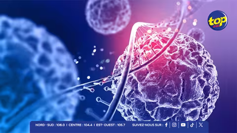 Cancer : Maurice renforce ses soins grâce à l’expertise internationale et à la coopération médicale