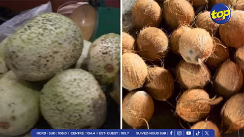 Pénurie de légumes et de noix de coco : Une situation préoccupante en cette période de fêtes