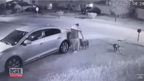 Arme à feu utilisée pour sauver un homme de la mort lors d’une attaque de pit-bulls