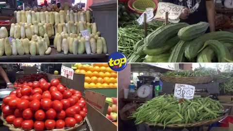 L’après Emnati : Pas de hausse des prix des légumes, à l’exception de la pomme d’amour