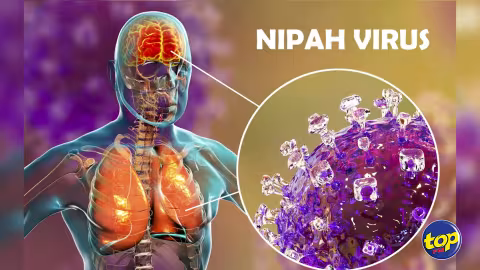 Propagation du virus Nipah : « il n’y a ni vaccin ni remède pour l’heure, mais avec un taux élevé de mortalité, mais il y a peu de chance qu’une épidémie se déclenche hors de l’épicentre, » affirme le virologue Shameem Jaumdally