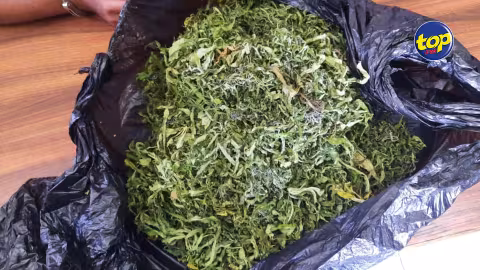 À Quartier Militaire : Brundon Antooneemootoo, 29 ans, arrêté pour trafic de cannabis