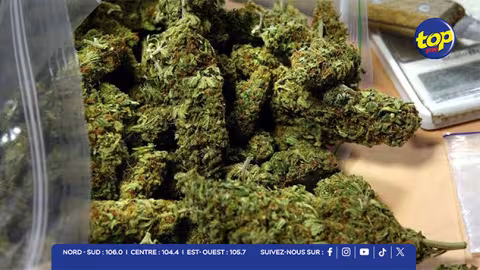 Affaire des 13,4 Kg de cannabis : Nihil Dardenne clame toujours son innocence — la défense pointe les frères Chimajee