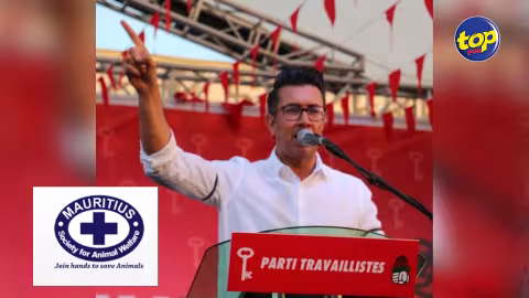 Capture de chiens errants dans certains endroits par la MSAW : la seule solution, c’est la fermeture de la Mauritius Society for Animal Welfare, affirme Me Shakeel Mohamed