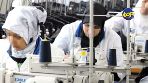 Transformer l’industrie du Textile : Pour que Maurice se positionne en tant qu’un Regional Sustainable Textile Hub, un Steering Committee bientôt institué pour implémenter les 4 projets recommandés