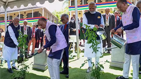   Ek Ped Maa Ke Naam : mise en terre d’un arbuste par Narendra Modi et Navin Ramgoolam