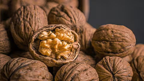 Health & Nutrition : What happens to your body when you eat walnuts every day?