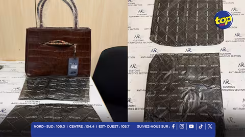 Saisie de 2,8Kg de cocaïne à l’aéroport : les deux Sud-Africains arrêtés louaient un logement via Airbnb au nom d’un Mauricien... 
