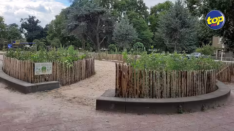 Dans le cadre de la fête nationale : « Nous allons aménager une Tiny Forest devant la Place Cathédrale », annonce le père Jean Maurice Labour