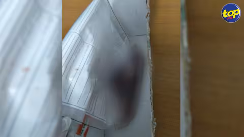 Dans un caniveau à Port Louis : Un fœtus découvert dans un sac en raphia