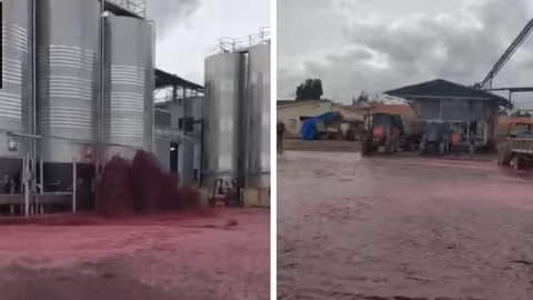 50.000 litres de vin s’échappent d’une cuve en Espagne