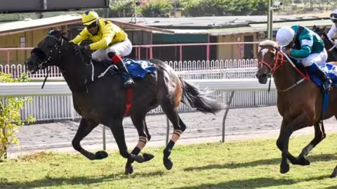 Hippisme : Vascostreetractor et Pera Palace partent avec l’étendard de favori