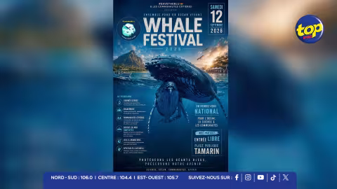 WHALE-FESTIVAL