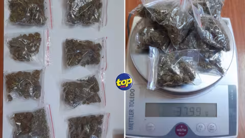 À Pointe Aux Sables : un homme de 40 ans arrêté pour trafic de cannabis
