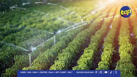 Agriculture sous pression : l’irrigation devient cruciale face à la baisse de la pluviométrie 