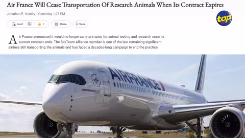 De Maurice à Paris-Charles de Gaulle puis au monde entier : Air France stoppe le transport de singes destinés à la recherche