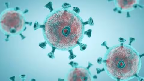 Une étude menée en Autriche révèle une immunité durable contre le Covid-19