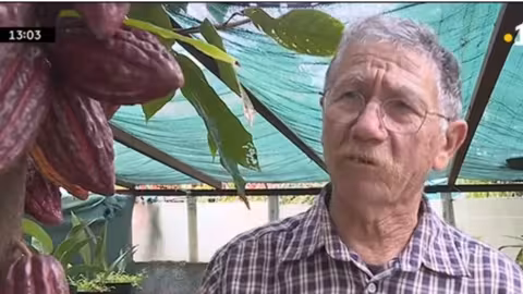 La Réunion produira bientôt son chocolat avec du cacao « péi »