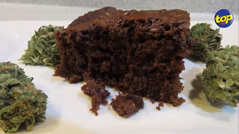 «En Afrique du Sud, les enfants sont mis en contact avec la drogue par des “space cake”»