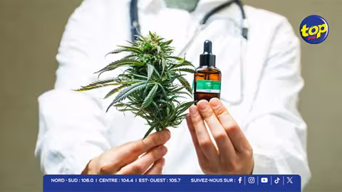 Une étude choc alerte sur les risques méconnus du cannabis médical