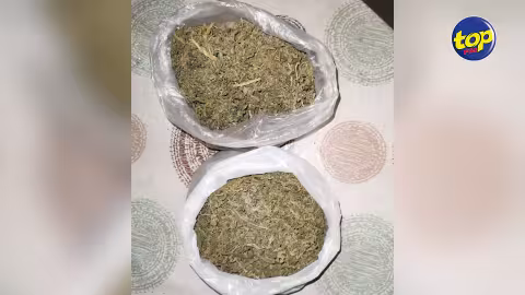 À Phoenix : Un homme arrêté avec une importante quantité de cannabis