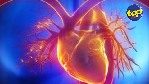 Journée mondiale de la sensibilisation à la cardiopathie congénitale : l’occasion de rappeler qu’environ cent enfants sont opérés chaque année à Maurice