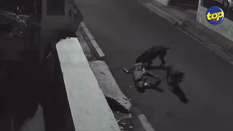 Agression d’un comptable par deux Rottweilers : Pas de liberté conditionnelle au propriétaire des molosses