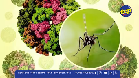Chikungunya : l’épidémie en forte progression à Beau-Bassin/Rose-Hill