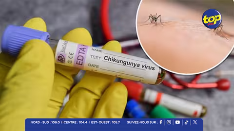 Chikungunya : inspections intensifiées, plus de 1 800 locaux visités et 11 infractions relevées