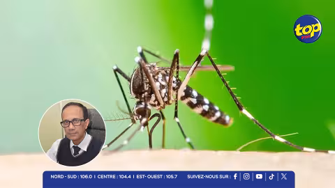 Chikungunya : un 4ᵉ cas enregistré à Cité La Cure