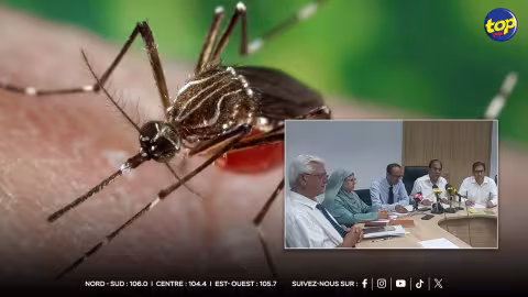 Chikungunya : un premier cas détecté à Maurice