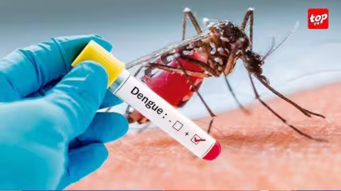 Maurice compte 3 cas de dengue actifs : « Si la population prend ses précautions, la situation restera sous contrôle »