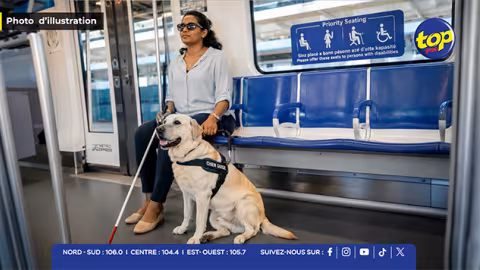 Inclusion et accessibilité : Metro Express ouvre grand ses portes aux chiens guides et d’assistance