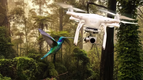 Australie : Plusieurs drones attaqués par des oiseaux